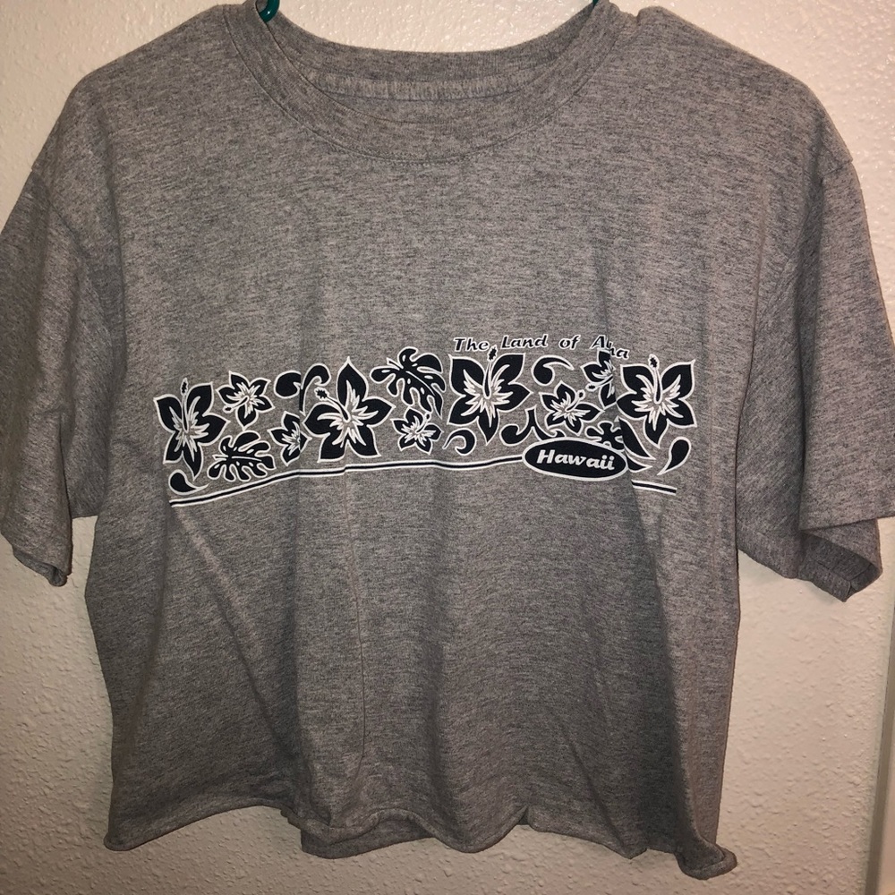 2 t-shirt bundle!! cropped tees